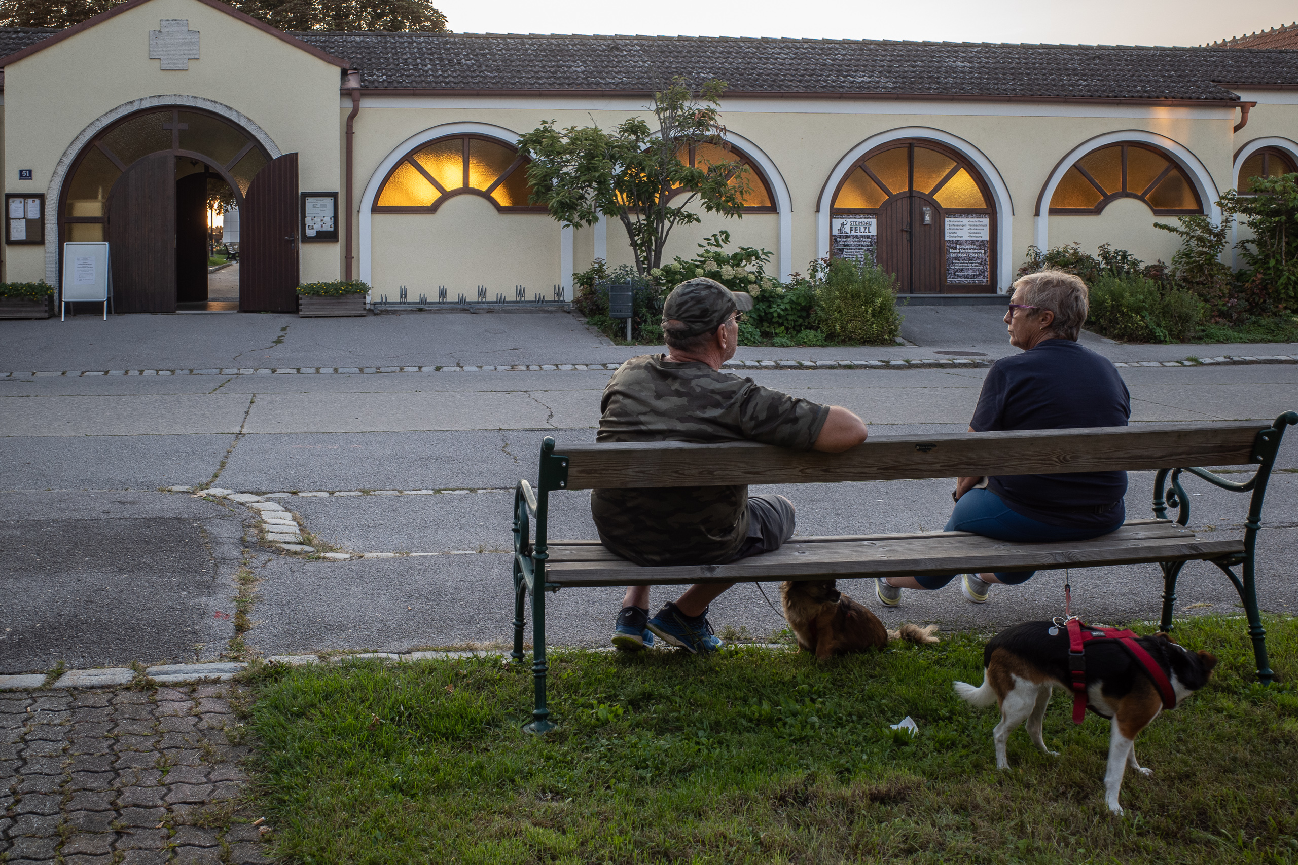 Abends auf der Bank vor der Friedhofsarkade, mit zwei Hunden